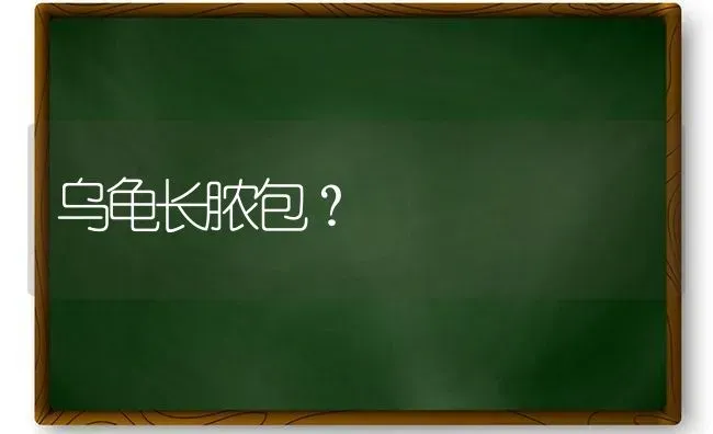 乌龟长脓包？ | 动物养殖问答