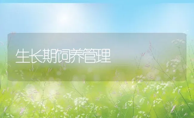 生长期饲养管理 | 动物养殖教程