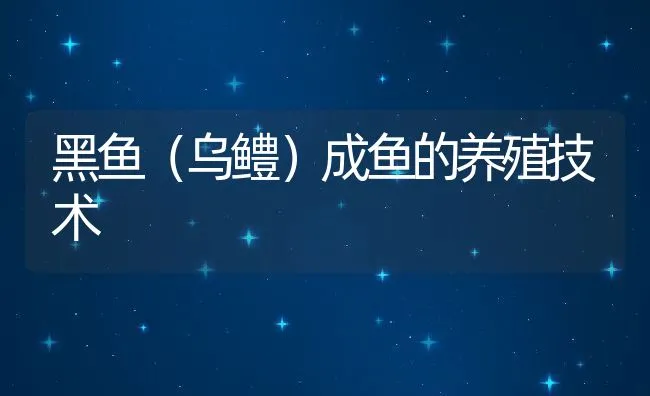 黑鱼（乌鳢）成鱼的养殖技术 | 水产养殖知识