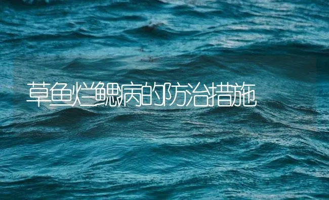 草鱼烂鳃病的防治措施 | 海水养殖技术