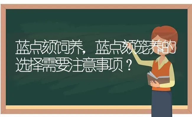 蓝点颏饲养，蓝点颏笼养的选择需要注意事项？ | 动物养殖问答