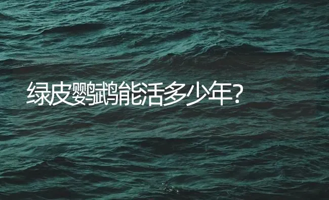 绿皮鹦鹉能活多少年？ | 鱼类宠物饲养