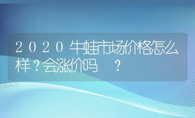 2020牛蛙市场价格怎么样？会涨价吗 ？ | 动物养殖百科