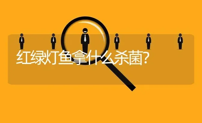 红绿灯鱼拿什么杀菌？ | 鱼类宠物饲养