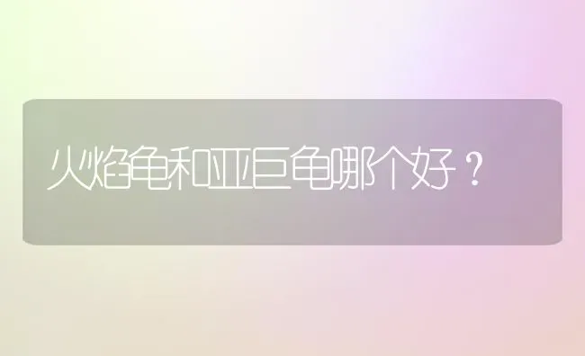 火焰龟和亚巨龟哪个好？ | 动物养殖问答