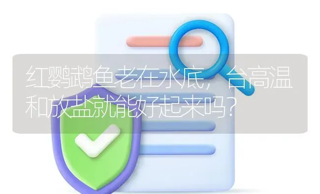 红鹦鹉鱼老在水底，台高温和放盐就能好起来吗？ | 鱼类宠物饲养