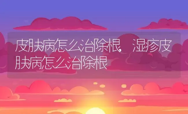 皮肤病怎么治除根,湿疹皮肤病怎么治除根 | 宠物百科知识