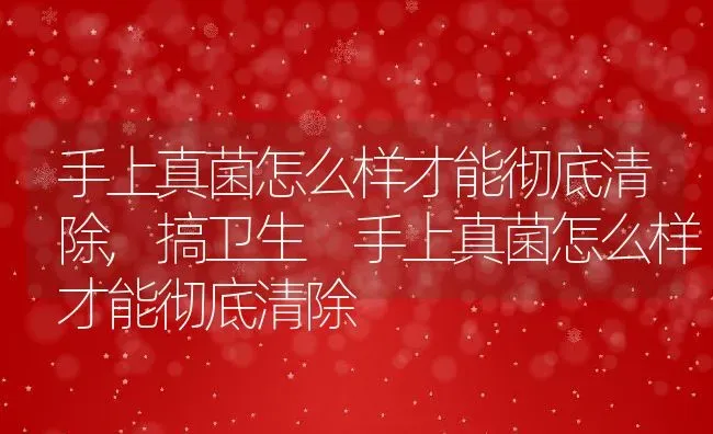 手上真菌怎么样才能彻底清除,搞卫生 手上真菌怎么样才能彻底清除 | 宠物百科知识