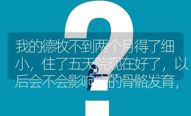 我的德牧不到两个月得了细小，住了五天院现在好了，以后会不会影响它的骨骼发育，长大以后会和同龄的狗狗？ | 动物养殖问答