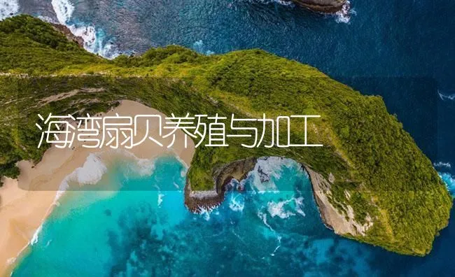 海湾扇贝养殖与加工 | 海水养殖技术