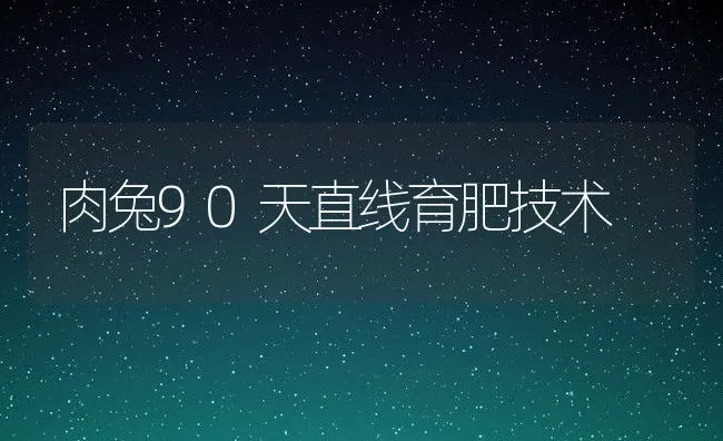 肉兔90天直线育肥技术 | 动物养殖学堂