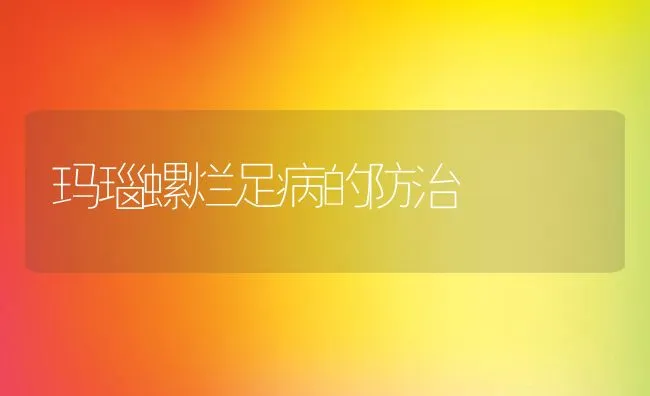 玛瑙螺烂足病的防治 | 动物养殖学堂