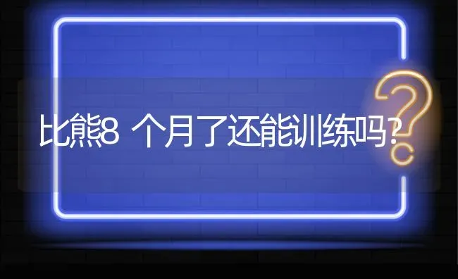 比熊8个月了还能训练吗？ | 动物养殖问答