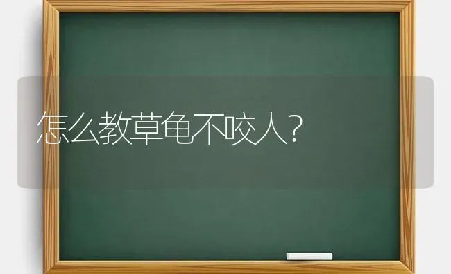 三花猫最大可以长多少斤？ | 动物养殖问答