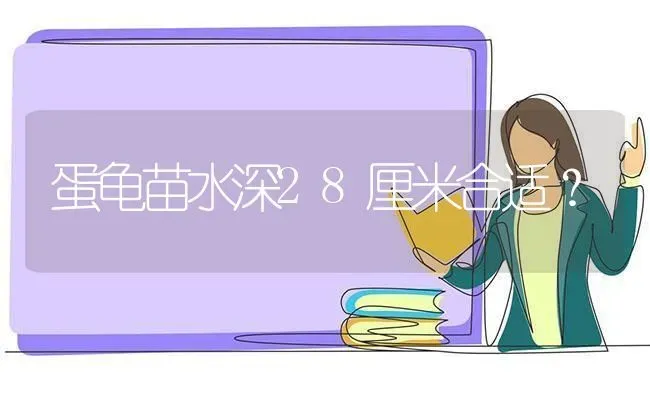 蛋龟苗水深28厘米合适？ | 动物养殖问答