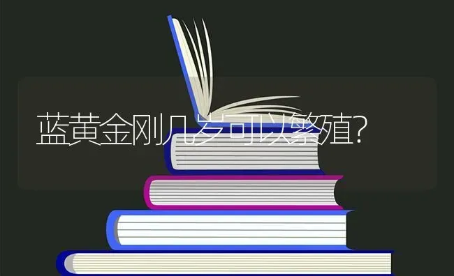 蓝黄金刚几岁可以繁殖？ | 动物养殖问答