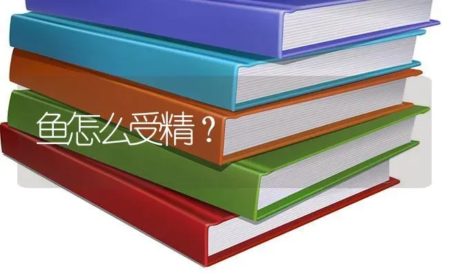 鱼怎么受精？ | 鱼类宠物饲养