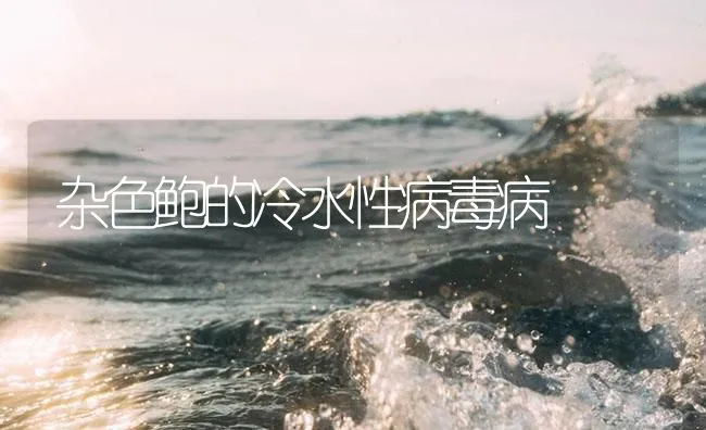 杂色鲍的冷水性病毒病 | 海水养殖技术