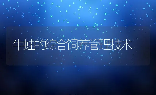 牛蛙的综合饲养管理技术 | 动物养殖学堂