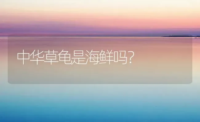 中华草龟是海鲜吗？ | 动物养殖问答