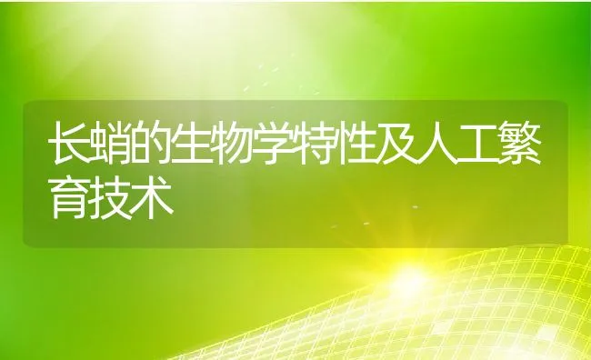 长蛸的生物学特性及人工繁育技术 | 水产养殖知识