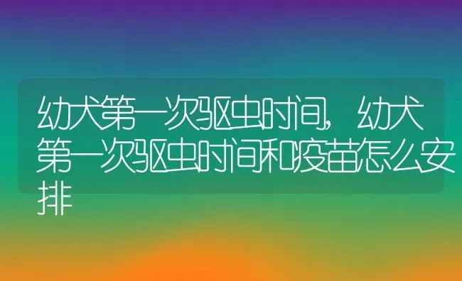 幼犬第一次驱虫时间,幼犬第一次驱虫时间和疫苗怎么安排 | 宠物百科知识