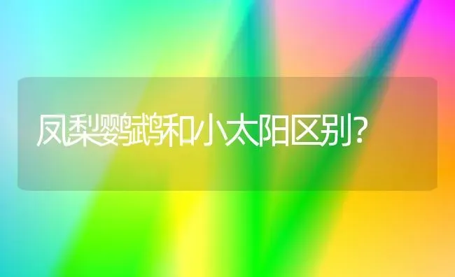 凤梨鹦鹉和小太阳区别？ | 动物养殖问答