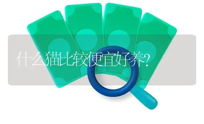 五个月柯基一天吃多少？ | 动物养殖问答