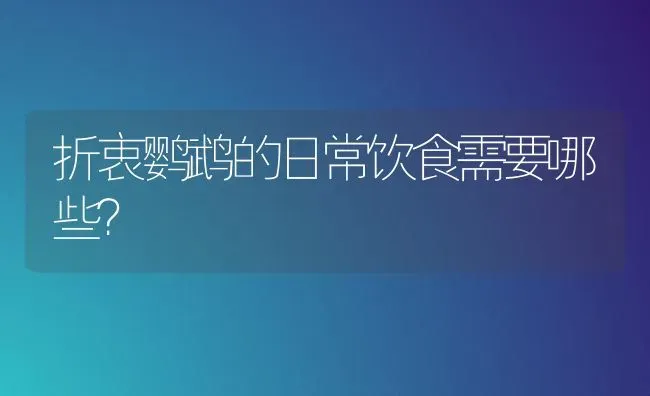 折衷鹦鹉的日常饮食需要哪些？ | 动物养殖问答