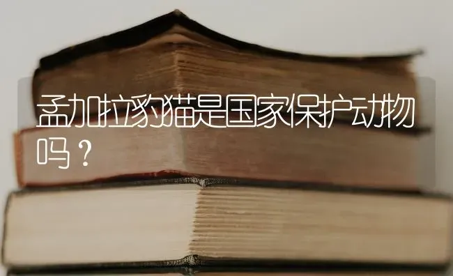 孟加拉豹猫是国家保护动物吗？ | 动物养殖问答