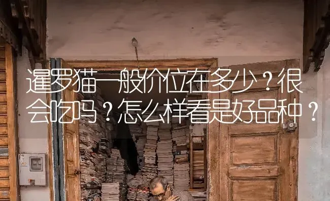 暹罗猫一般价位在多少？很会吃吗？怎么样看是好品种？ | 动物养殖问答