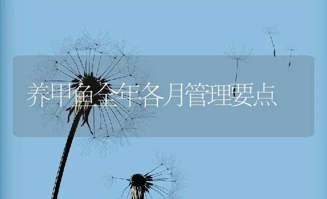 养甲鱼全年各月管理要点 | 水产养殖知识