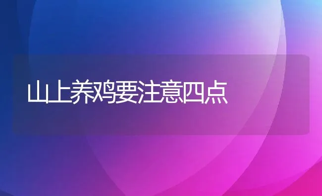 山上养鸡要注意四点 | 动物养殖学堂