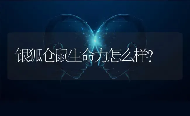 仓鼠妈妈生下宝宝，无端端不理宝宝的原因？ | 动物养殖问答