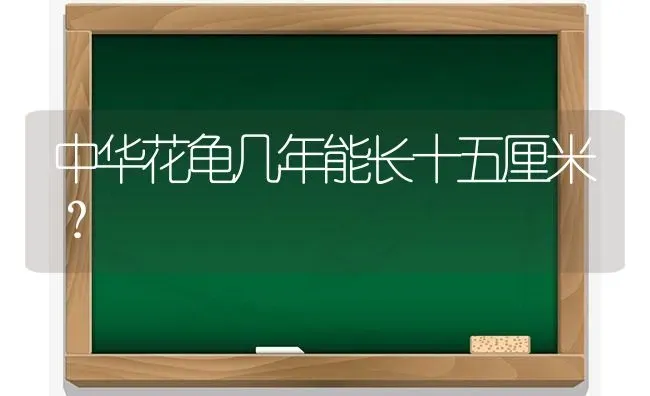 中华花龟几年能长十五厘米？ | 动物养殖问答