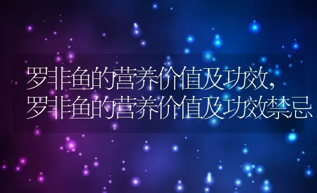 罗非鱼的营养价值及功效,罗非鱼的营养价值及功效禁忌 | 宠物百科知识