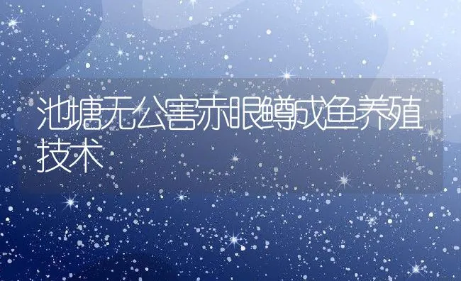 池塘无公害赤眼鳟成鱼养殖技术 | 动物养殖饲料