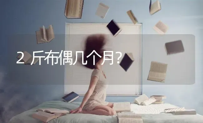 2斤布偶几个月？ | 动物养殖问答