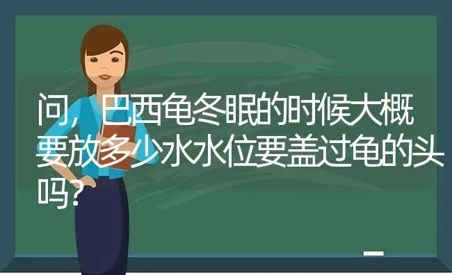 问，巴西龟冬眠的时候大概要放多少水水位要盖过龟的头吗？ | 动物养殖问答