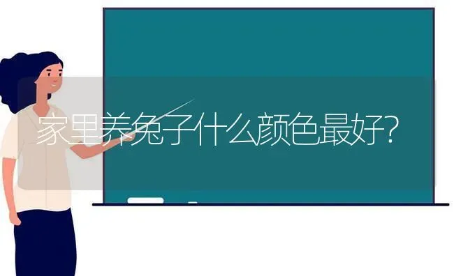 家里养兔子什么颜色最好？ | 动物养殖问答