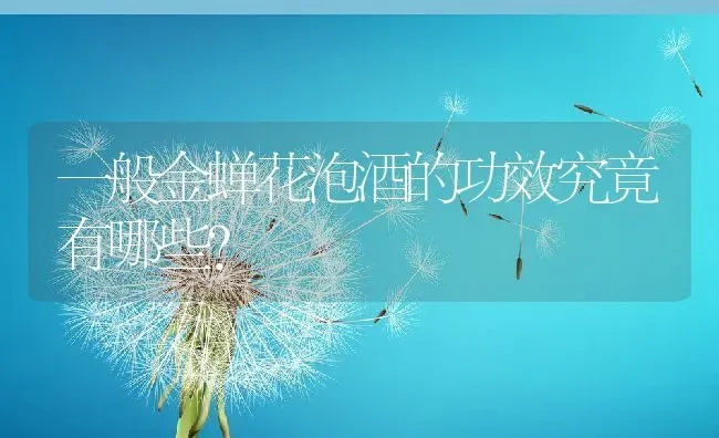 山东巨野常海东养甲鱼 “甲鱼养殖村”年赚800万 | 动物养殖百科