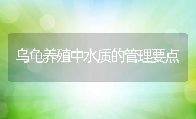 乌龟养殖中水质的管理要点 | 水产养殖知识