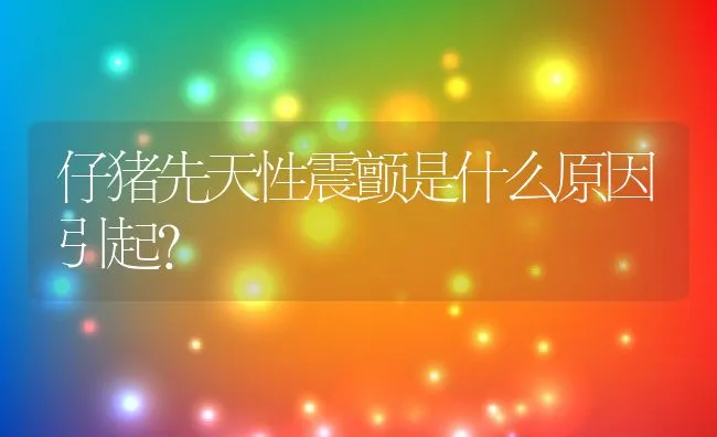 仔猪先天性震颤是什么原因引起？ | 动物养殖学堂