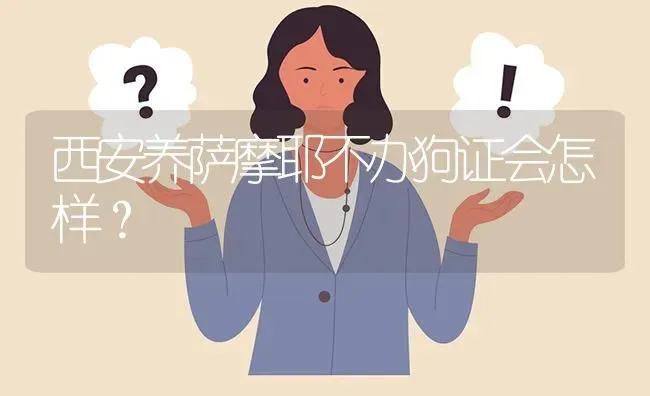 西安养萨摩耶不办狗证会怎样？ | 动物养殖问答