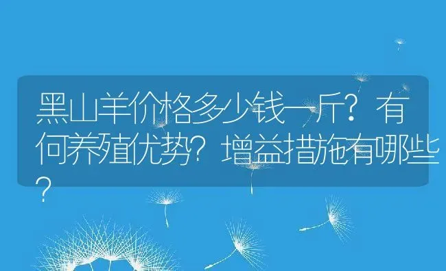 黑山羊价格多少钱一斤?有何养殖优势？增益措施有哪些？ | 动物养殖百科