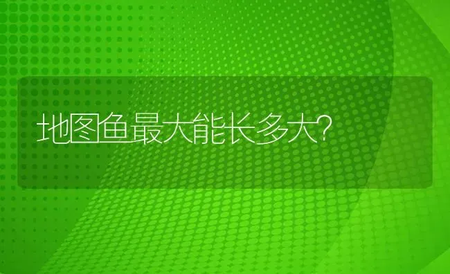 地图鱼最大能长多大？ | 鱼类宠物饲养