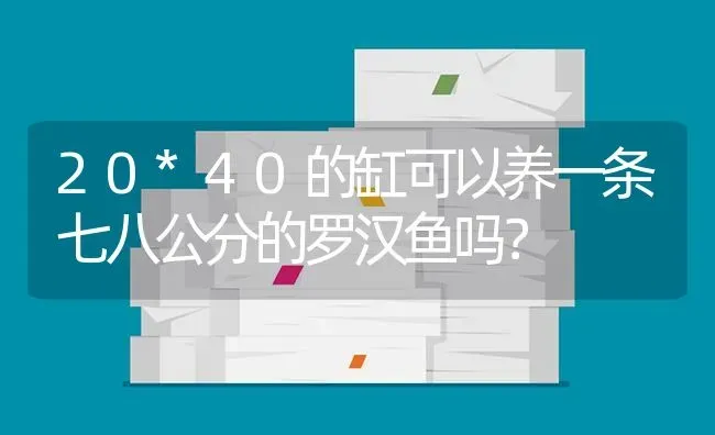 20*40的缸可以养一条七八公分的罗汉鱼吗？ | 鱼类宠物饲养