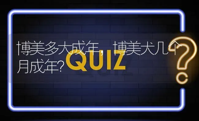 博美多大成年，博美犬几个月成年？ | 动物养殖问答