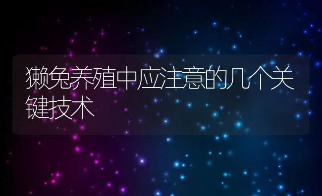 产蛋鸽饲养管理要点 | 水产养殖知识