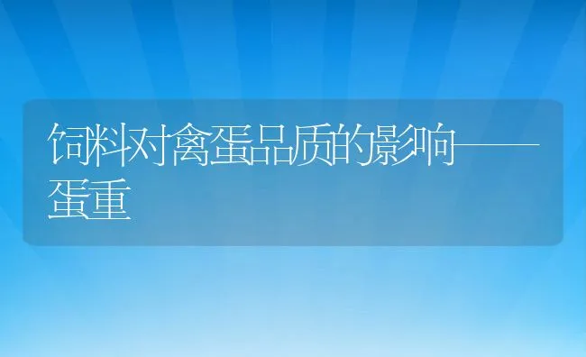 饲料对禽蛋品质的影响——蛋重 | 动物养殖饲料